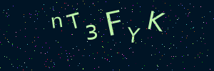 Validation image